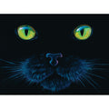 Puzzle - Sunsout - Black Cat 1000Pc