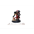 Warhammer Sisters of Battle Canoness Veridyan JYS96