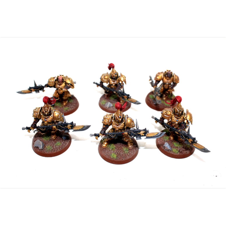 Warhammer Adeptus Custodes Custodian Guard Well Painted JYS31