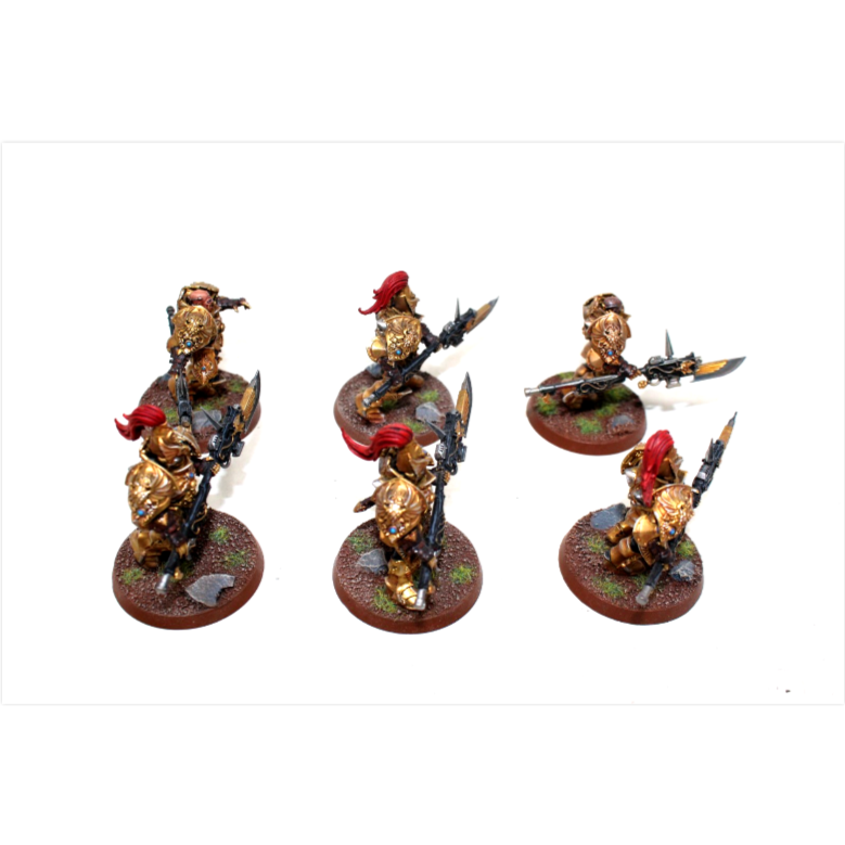 Warhammer Adeptus Custodes Custodian Guard Well Painted JYS31