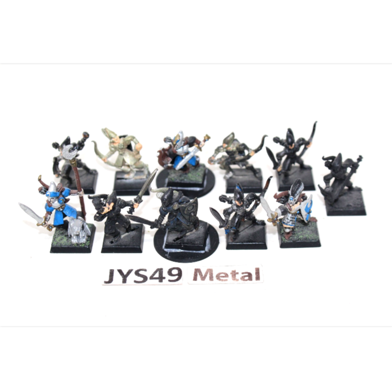 Warhammer  High Elf Shadow Warriors Metal JYS49