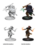 D&D Nolzurs Marvelous Unpainted Miniatures Female Tiefling Warlock