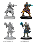 Pathfinder Battles Deep Cuts Male Human Wizard