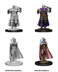 D&D Nolzurs Marvelous Unpainted Miniatures Human Ranger & Moon Elf Sorcerer