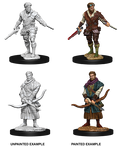 D&D Nolzurs Marvelous Unpainted Miniatures Male Human Rogue