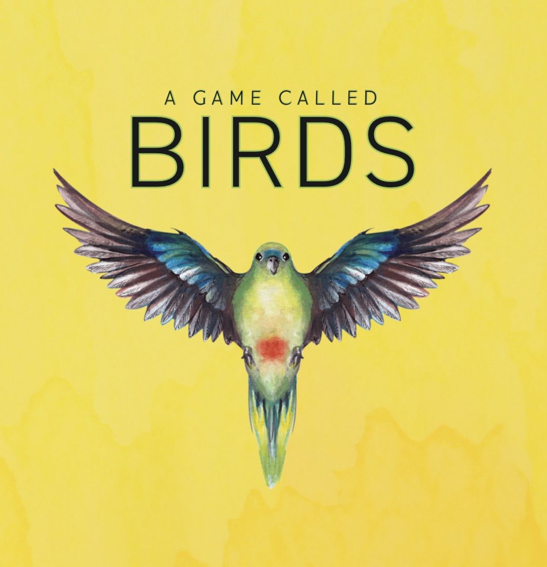 A Game Called Birds Board Game