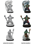 D&D Nolzurs Marvelous Unpainted Miniatures Water Genasi Male Druid